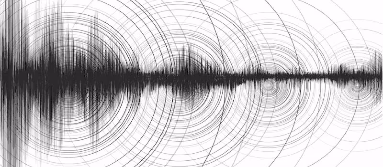 واکنش سیستم ساخت و ساز خشک به زمین لرزه